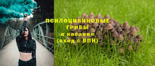 дурь Бородино