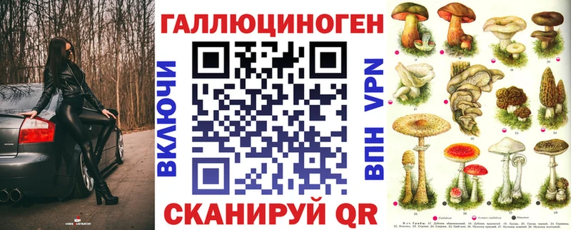 Псилоцибиновые грибы GOLDEN TEACHER  Купить  Петропавловск-Камчатский 
